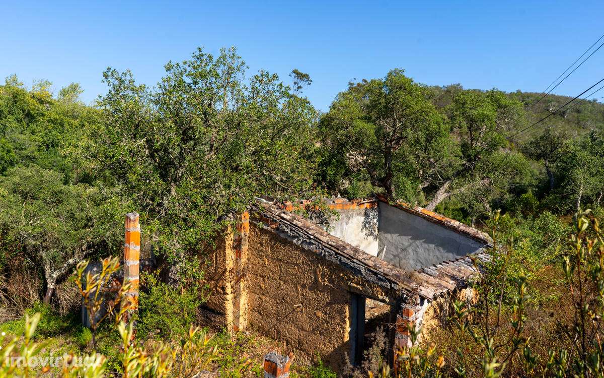 Herdade Moinho Corisco - Grande imagem: 3/16