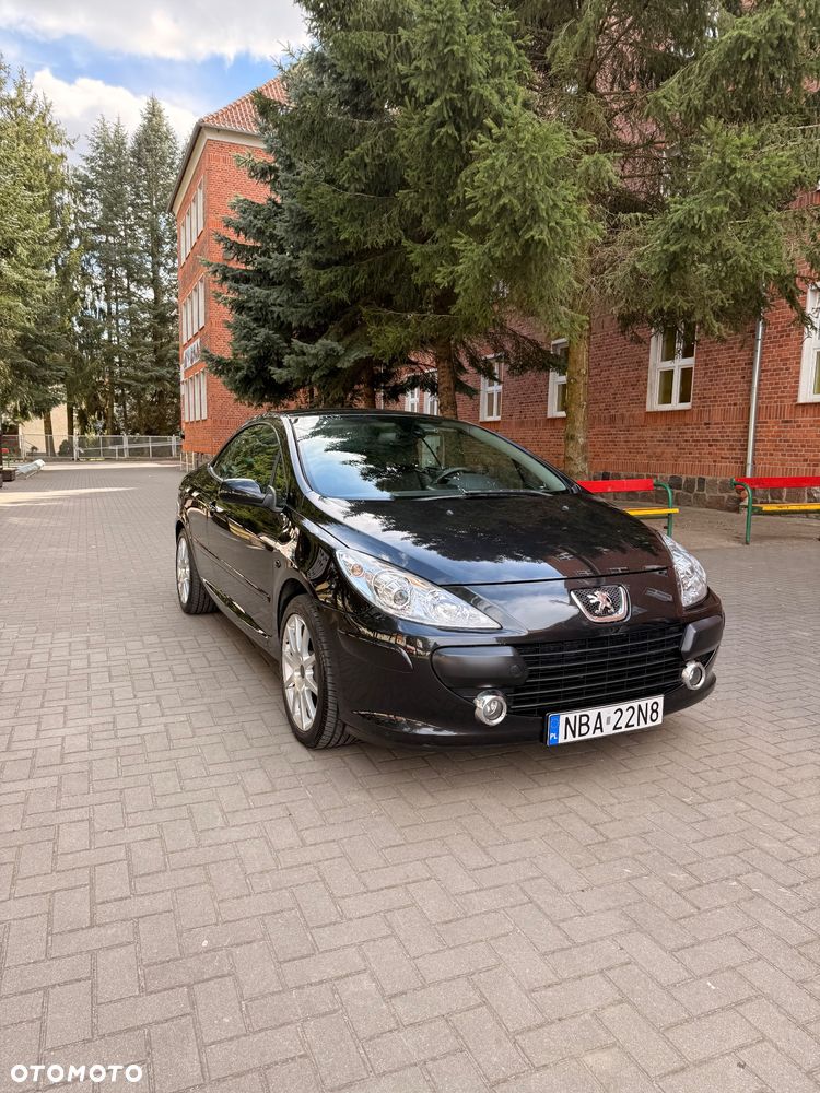 Peugeot 307 CC 2.0 - 8