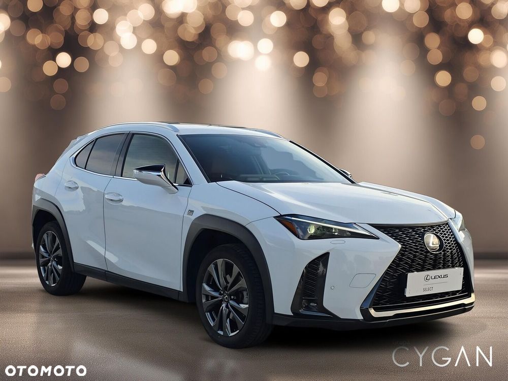 Lexus UX 250h GPF F Sport Design+ 2WD - 9