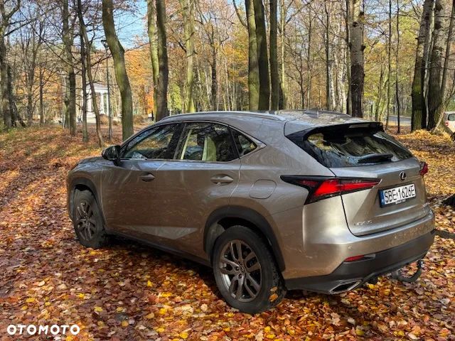 Lexus NX 300 Elegance Optimum AWD - 3