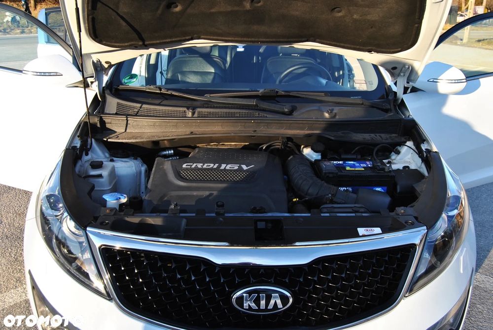 Kia Sportage - 18