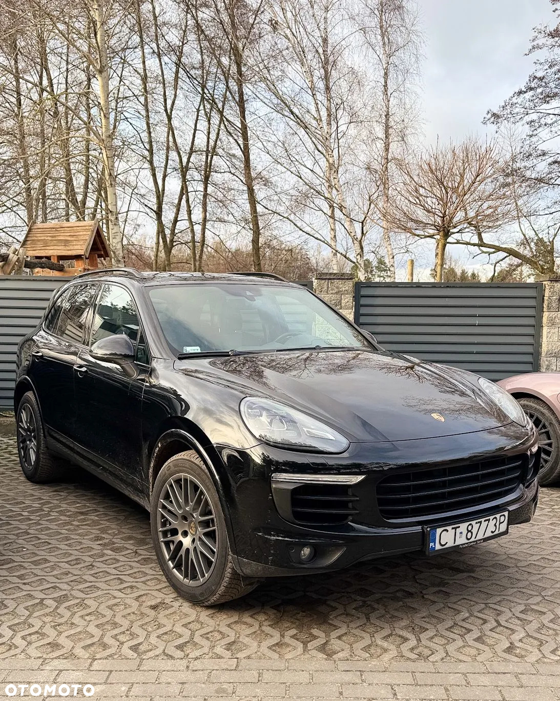 Porsche Cayenne Diesel Platinum Edition - 3