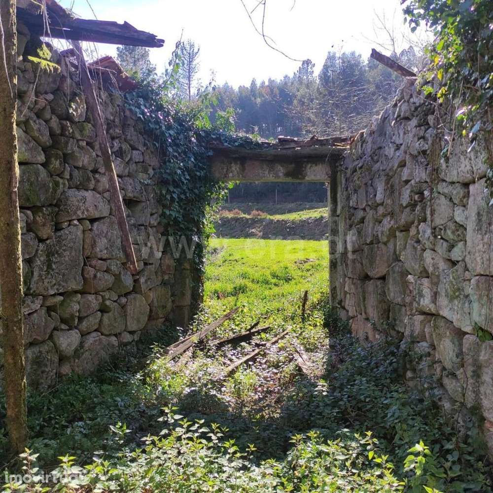 Quinta em Arnóia - Celorico de Basto - Grande imagem: 2/20