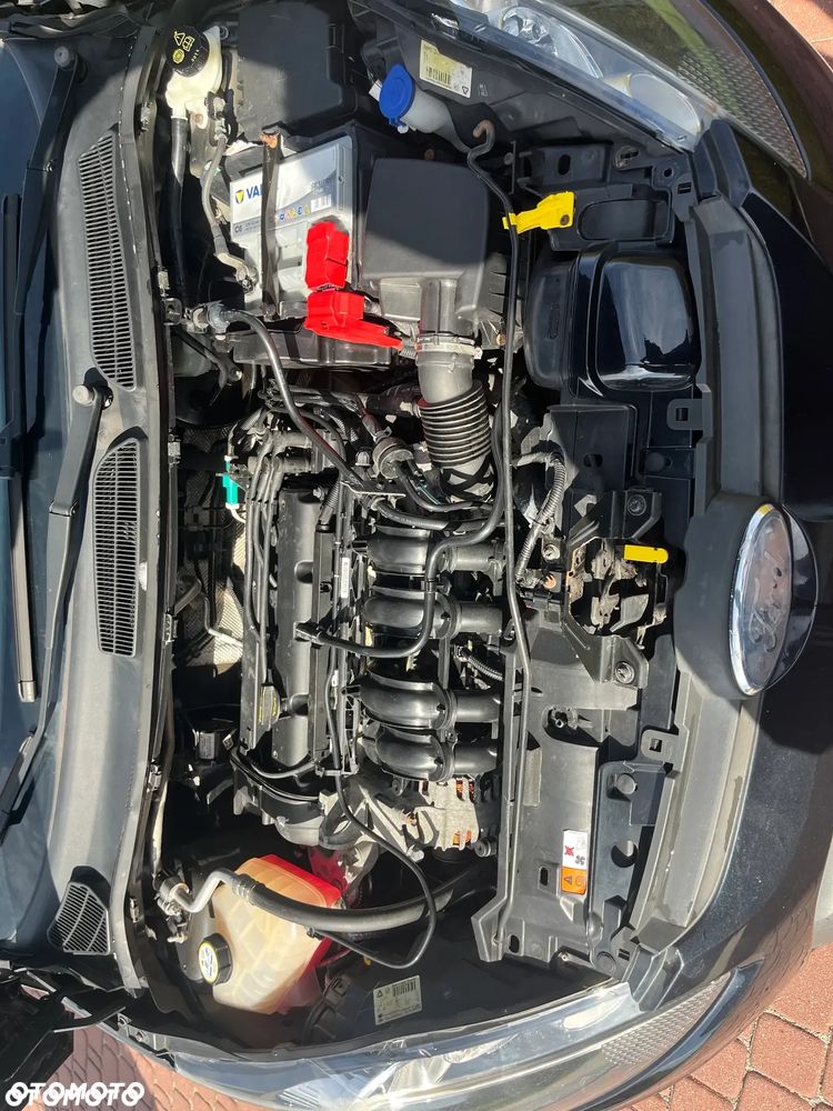 Ford Fiesta 1.25 Champions Edition - 16