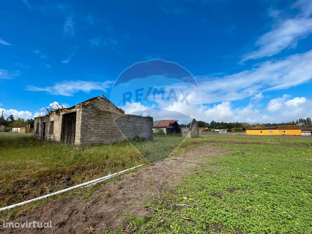 Quinta T2 para venda - Grande imagem: 3/15