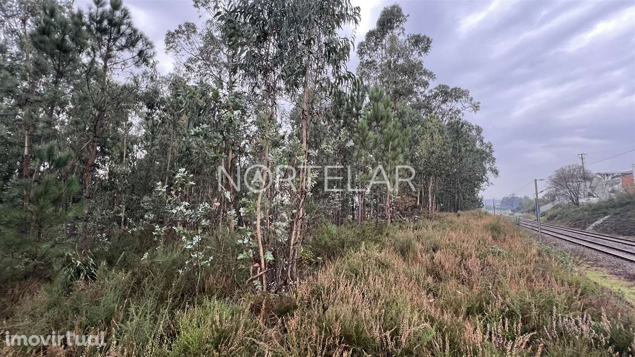 Terreno Rústico com 4.200 m² – Covelas, Trofa - Grande imagem: 3/8