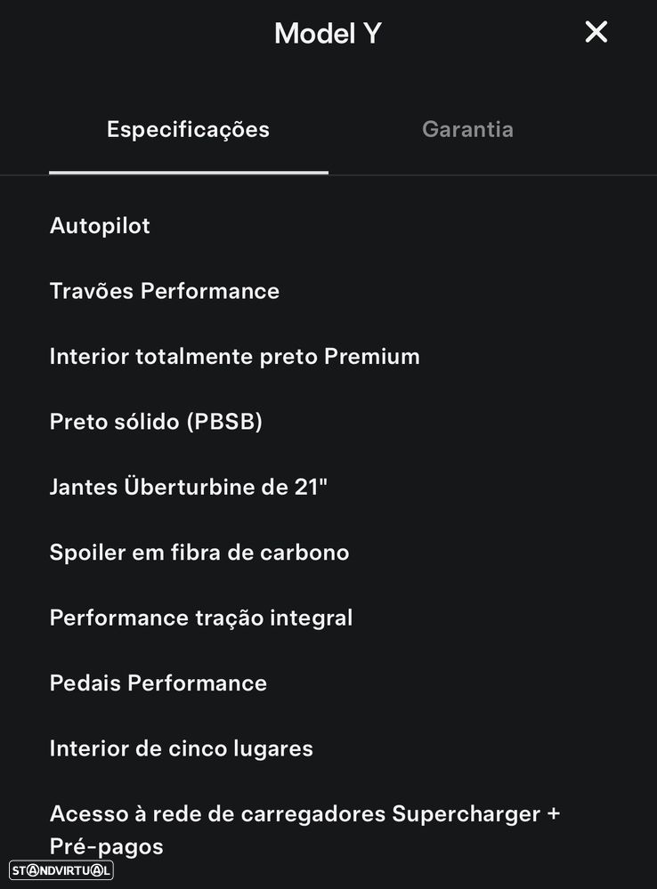 Tesla Model Y Performance Dual Motor AWD - 21