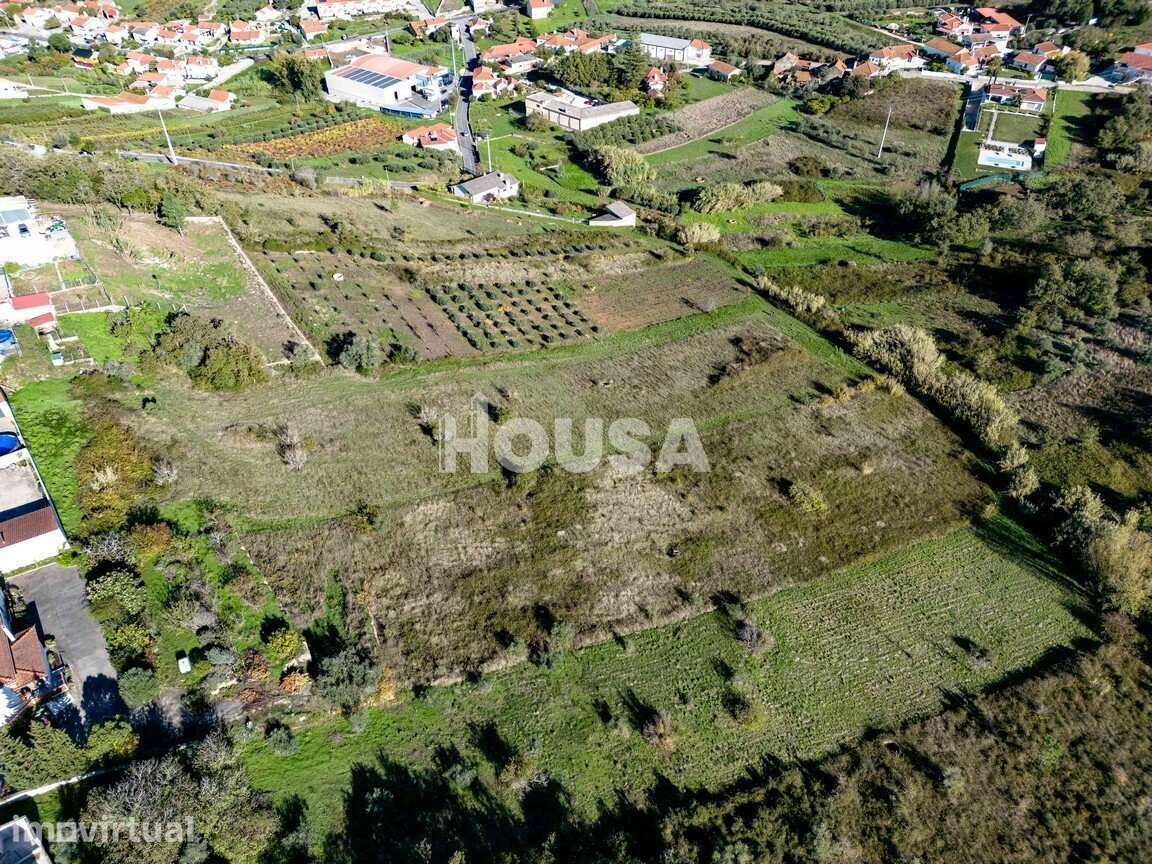 Terreno Rústico com 7.670m² nos Golfeiros – Batalha - Grande imagem: 4/9