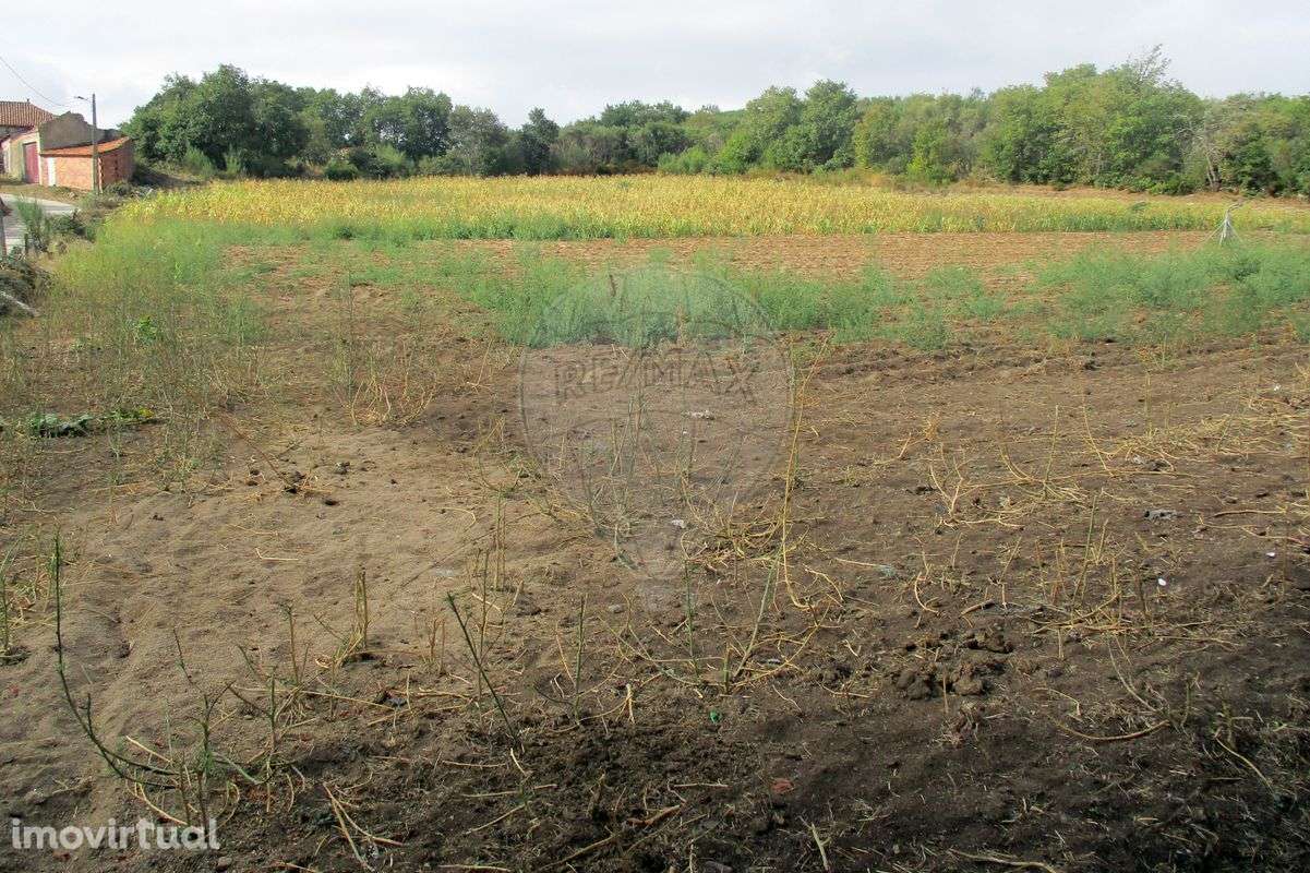 Terreno  para venda - Grande imagem: 2/8