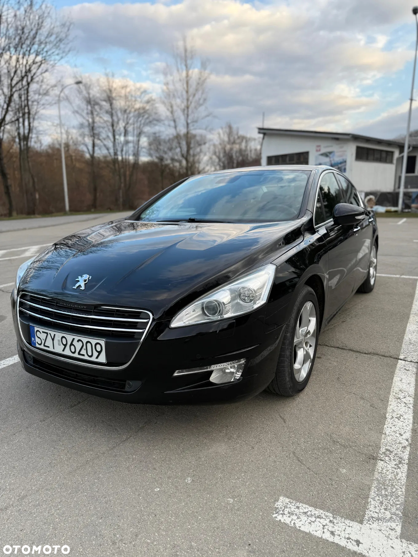 Peugeot 508 Hybrid4 - 28