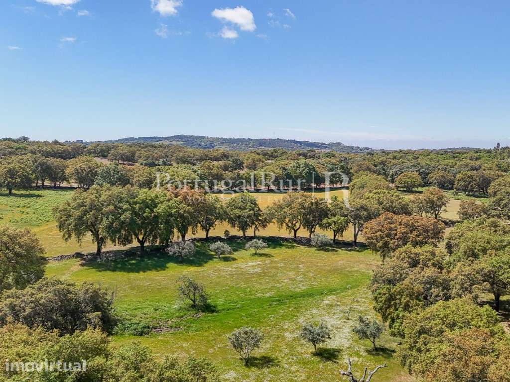 Quinta de 10 ha com projeto aprovado para 2 moradias em Marvão - Grande imagem: 5/60