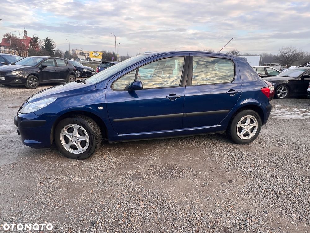 Peugeot 307 - 6