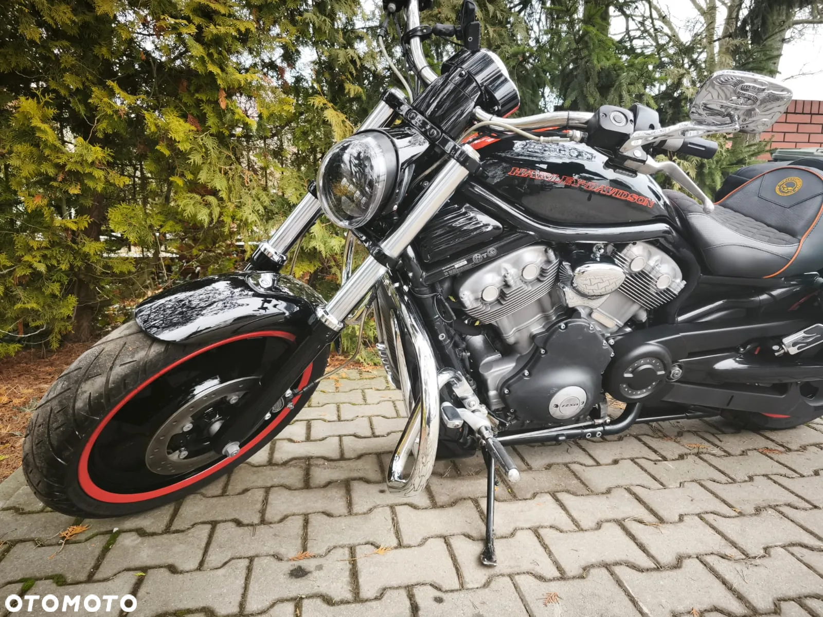 Harley-Davidson V-Rod Street Rod - 2