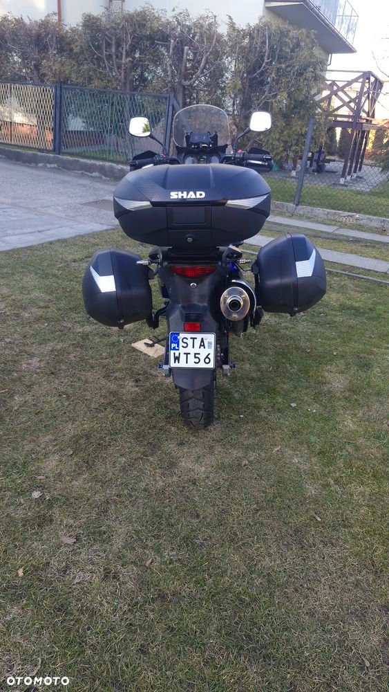 Suzuki DL - 5