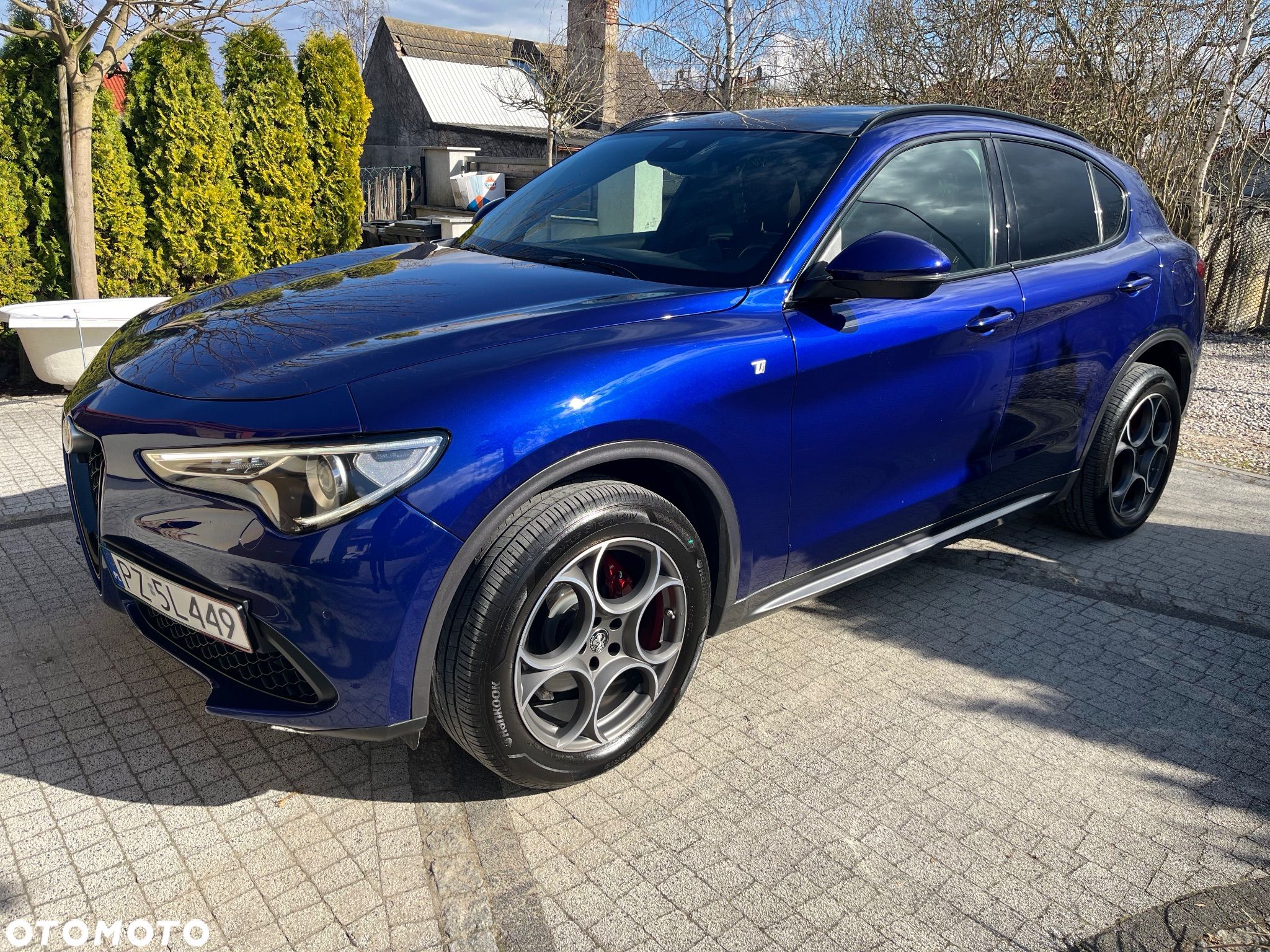 Alfa Romeo Stelvio 2.0 Turbo Veloce TI Q4 - 1
