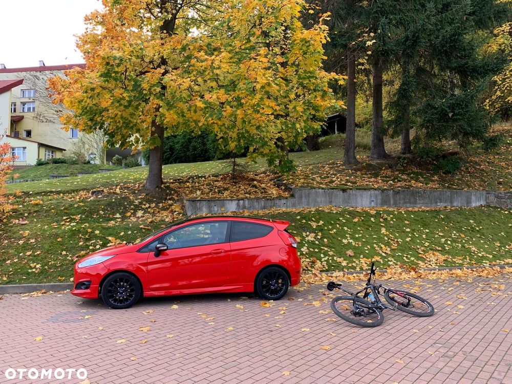 Ford Fiesta - 19