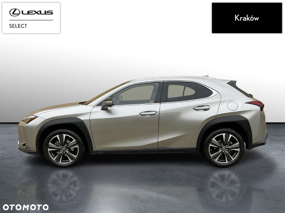 Lexus UX 250h GPF Business 2WD - 2