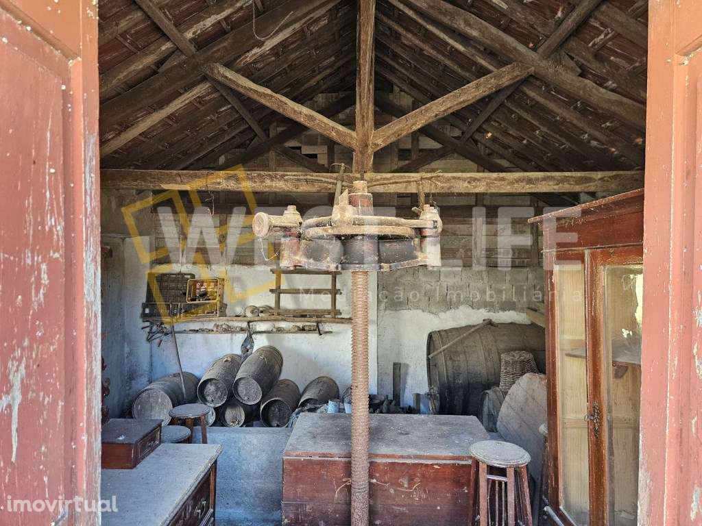 Adega de 95m2 com logradouro em Murtal - Igreja Nova - Mafra - Grande imagem: 2/24