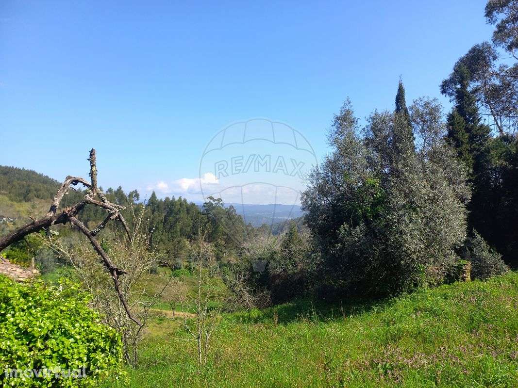 Moradia T0 para venda - Grande imagem: 5/9