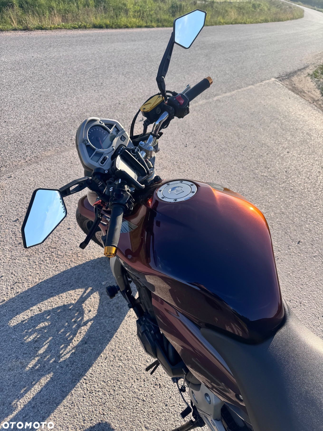 Honda Hornet - 10
