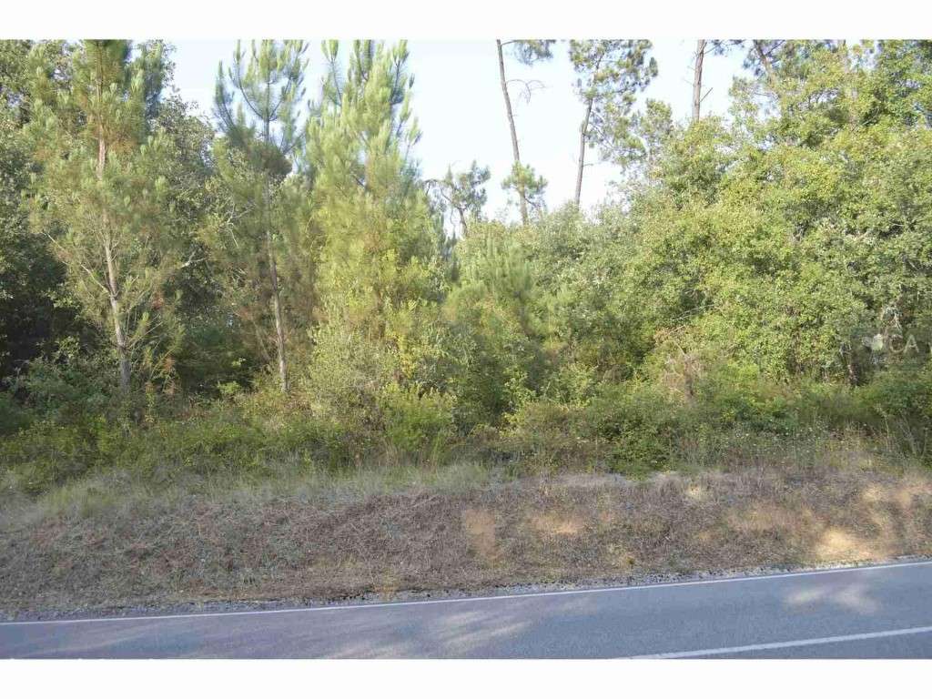 Terreno - Grande imagem: 4/7