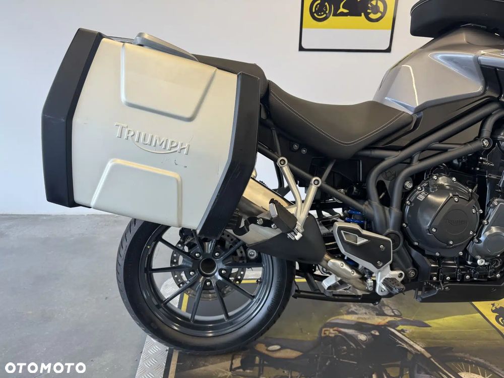Triumph Tiger - 16