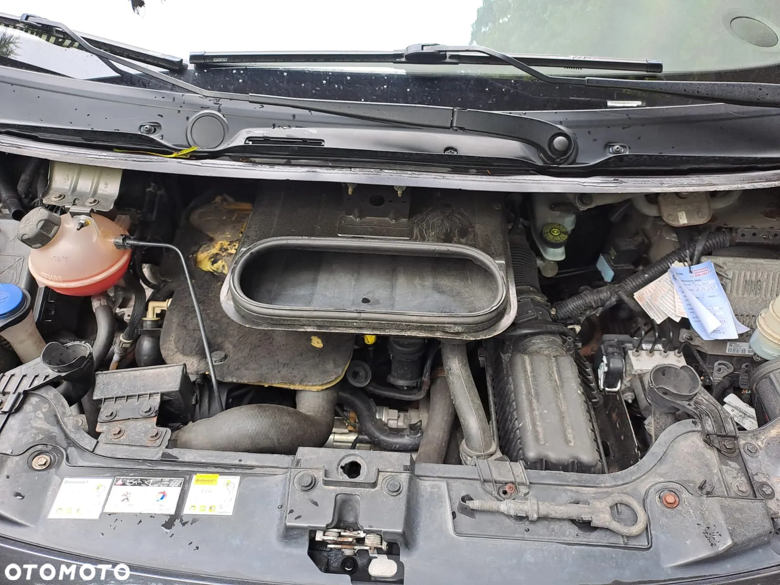 Peugeot Expert Tepee L1H1 (5-Si.) Premium - 7
