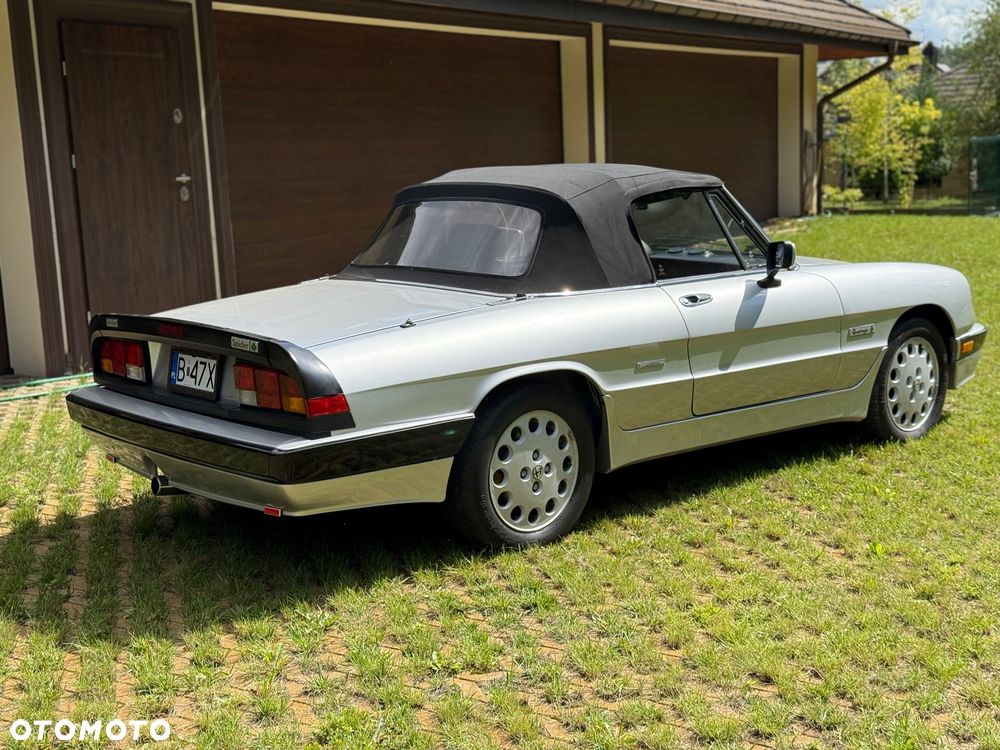 Alfa Romeo Spider - 7