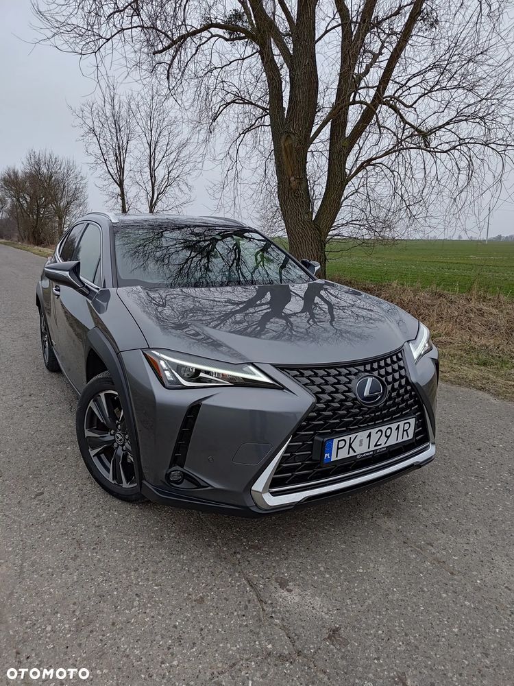 Lexus UX - 2