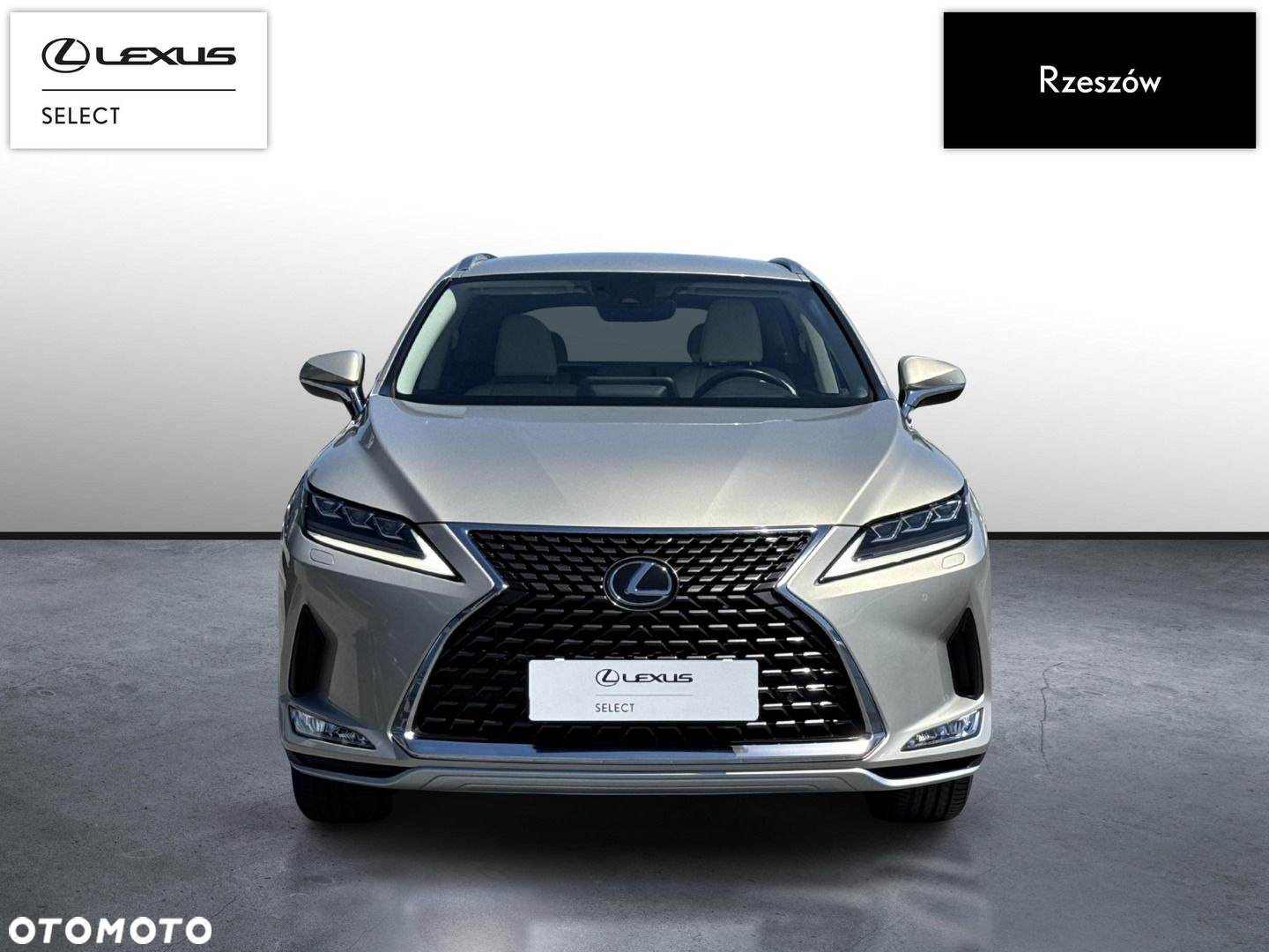 Lexus RX 300 Prestige - 8