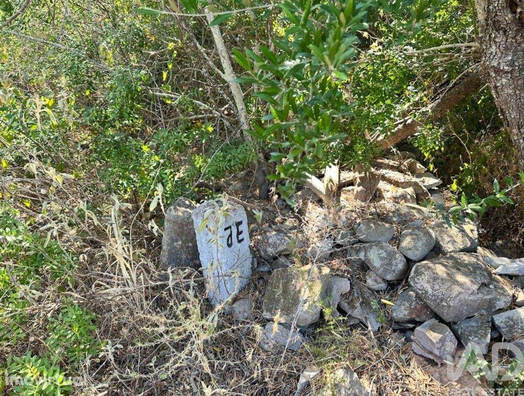 Terreno em Luz de Tavira e Santo Estêvão de 5570,00 m2 - Grande imagem: 3/11