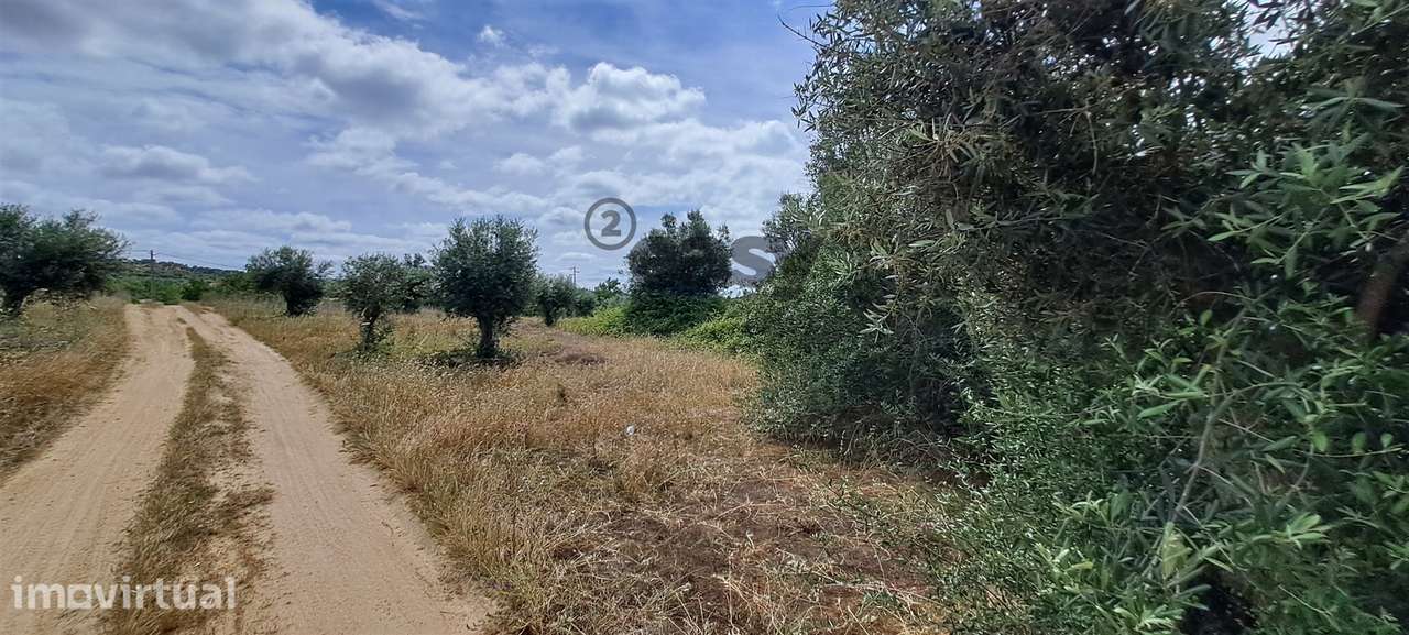 Terreno Rústico para Venda na Vidigueira com 10 000 m² - Grande imagem: 3/11