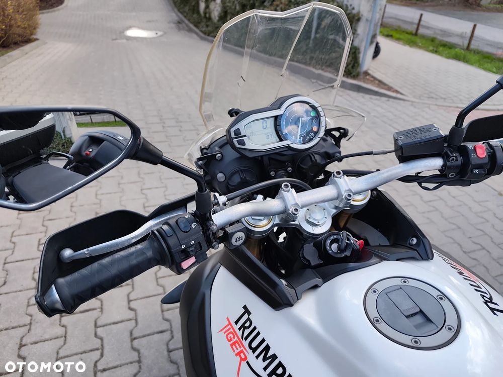 Triumph Tiger - 14