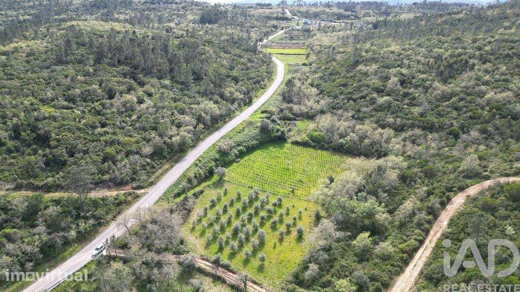Terreno Agrícola em Podentes - Grande imagem: 5/18
