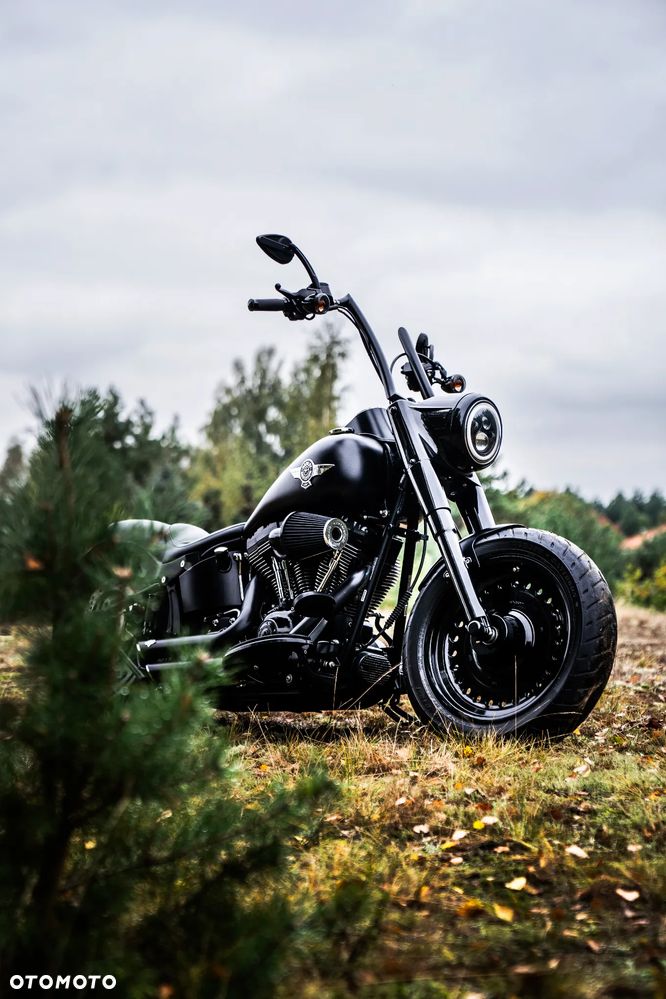 Harley-Davidson Softail Custom - 2