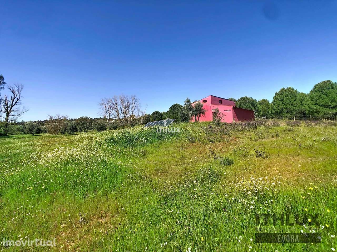 Quintinha com 1 Ha e com moradia com alma em Alqueva - Grande imagem: 2/17