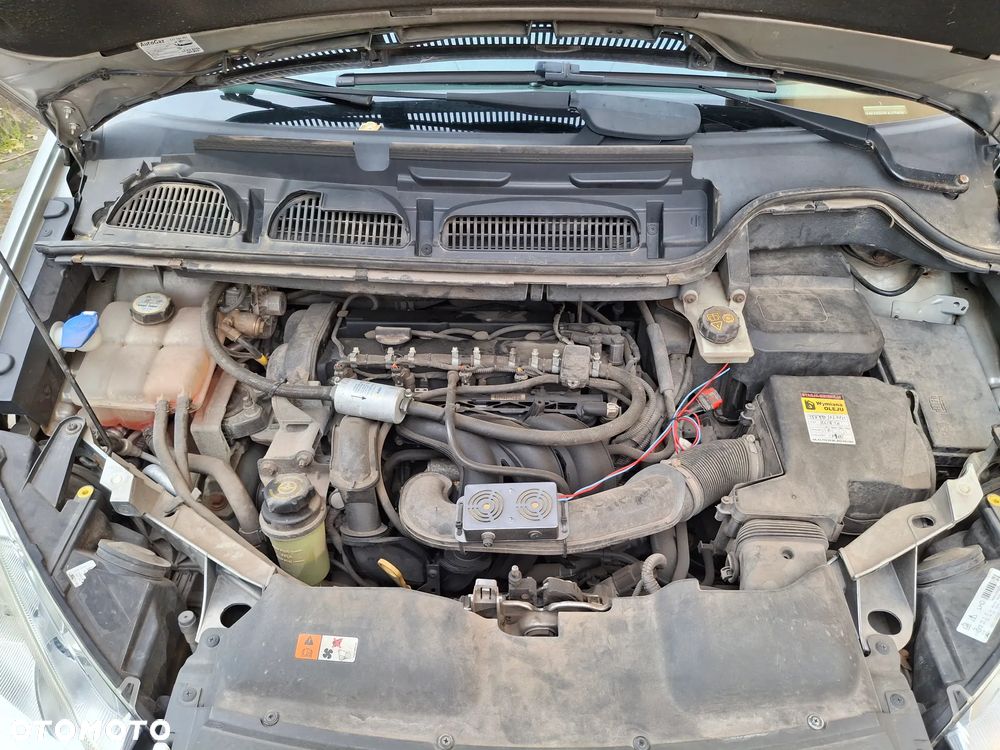 Ford Focus C-Max 1.6 Ambiente - 30