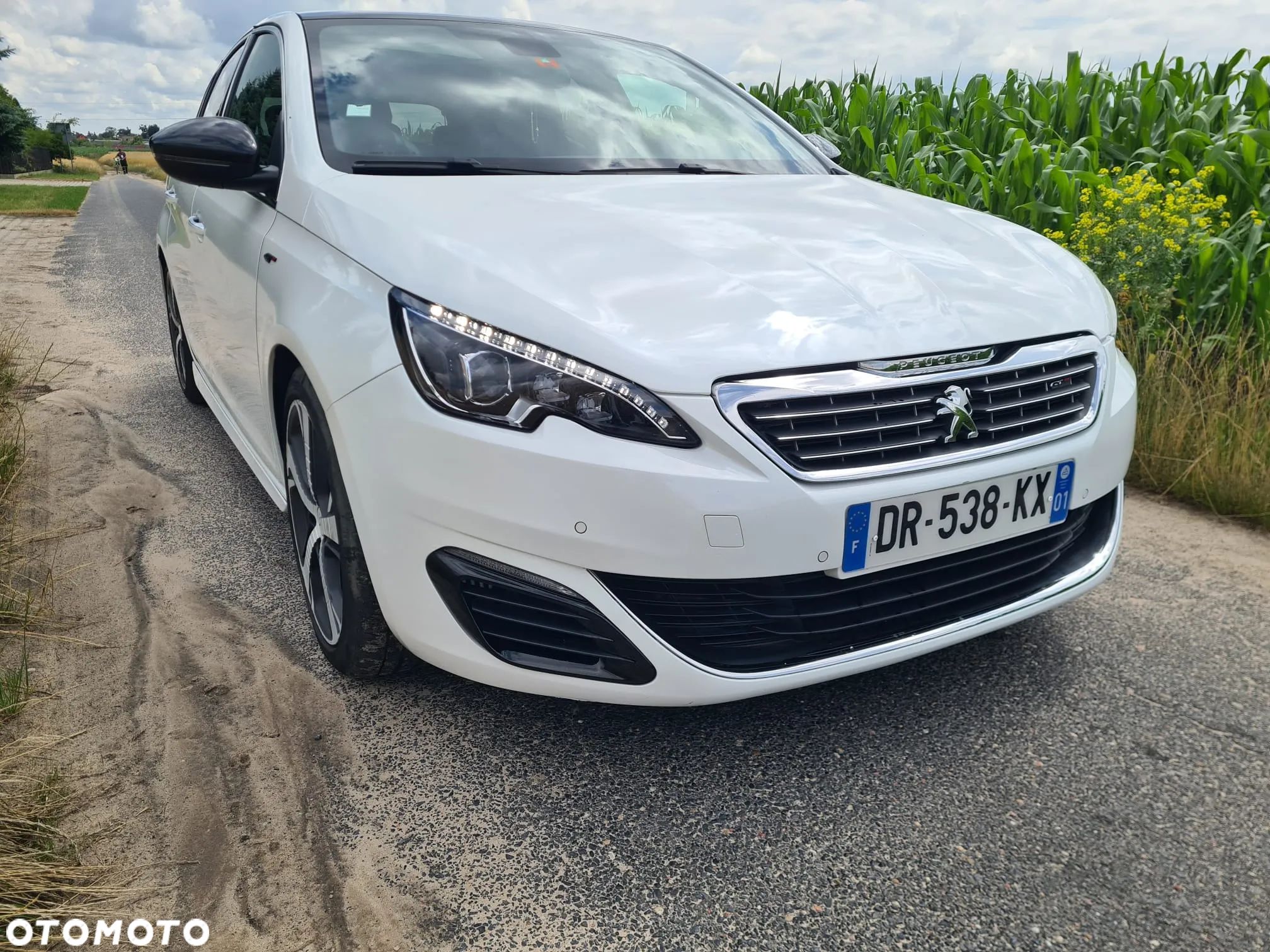 Peugeot 308 BlueHDi 180 EAT6 GT - 1