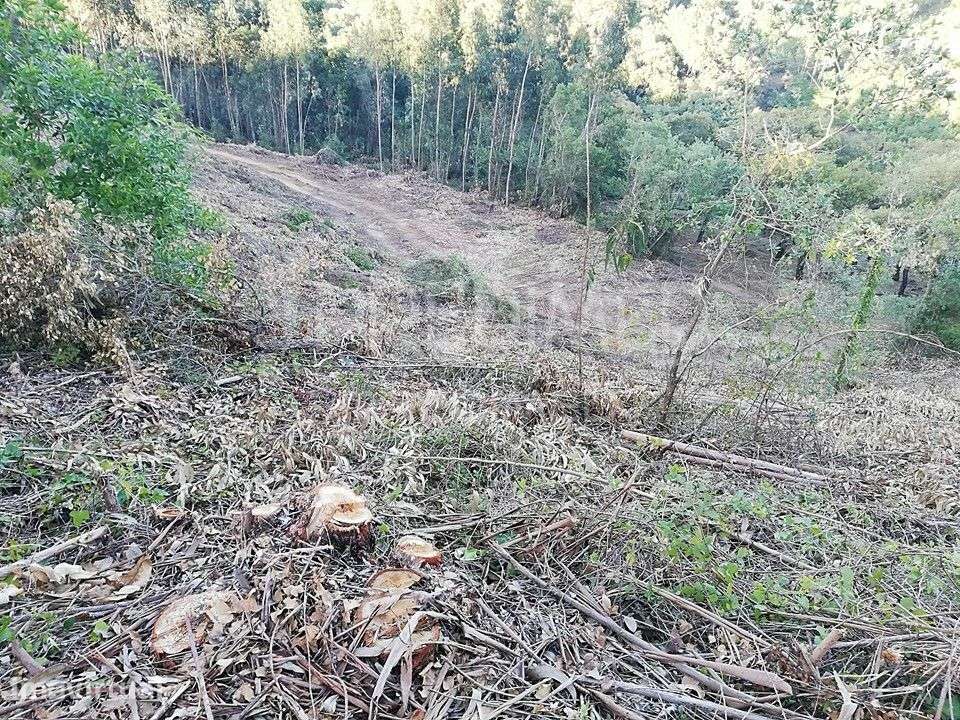 LOUSA. Lote terreno rústico com 8.760 m2 - Grande imagem: 2/6