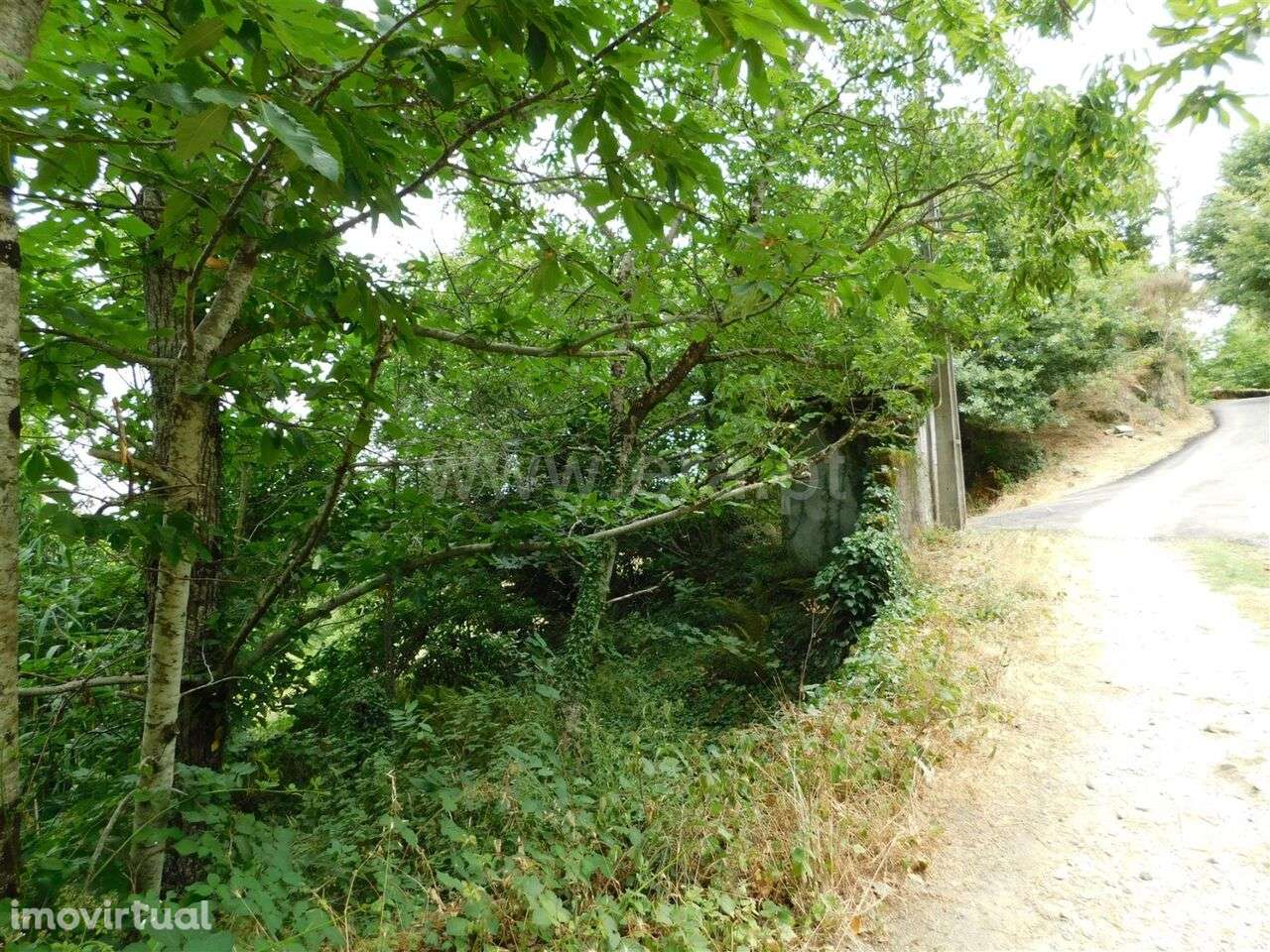 Quinta / Seia, Sandomil - Grande imagem: 2/20