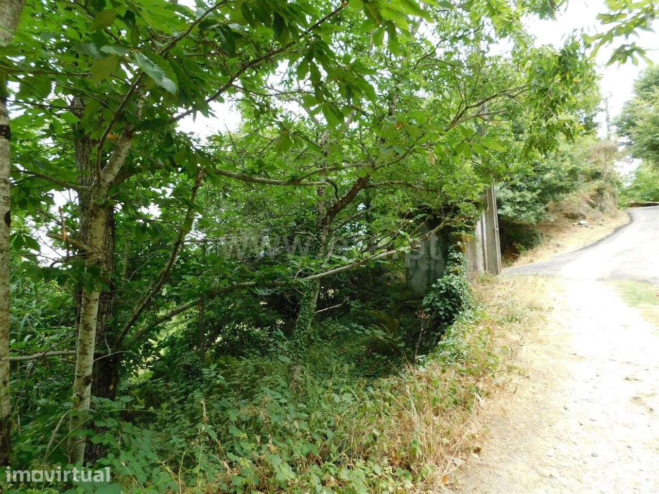 Quinta / Seia, Sandomil - Grande imagem: 2/20