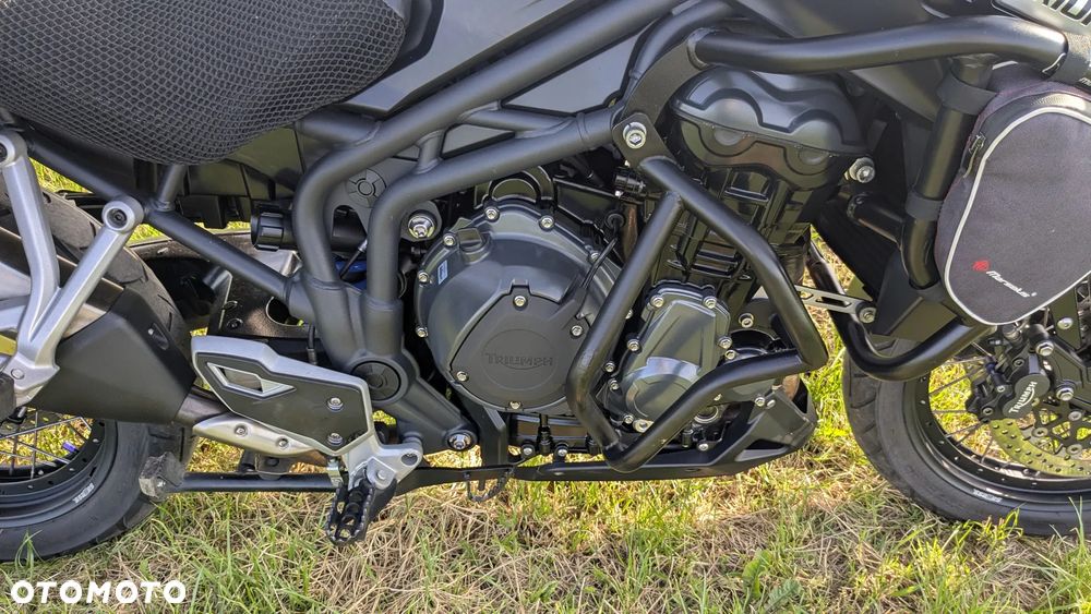 Triumph Tiger - 15