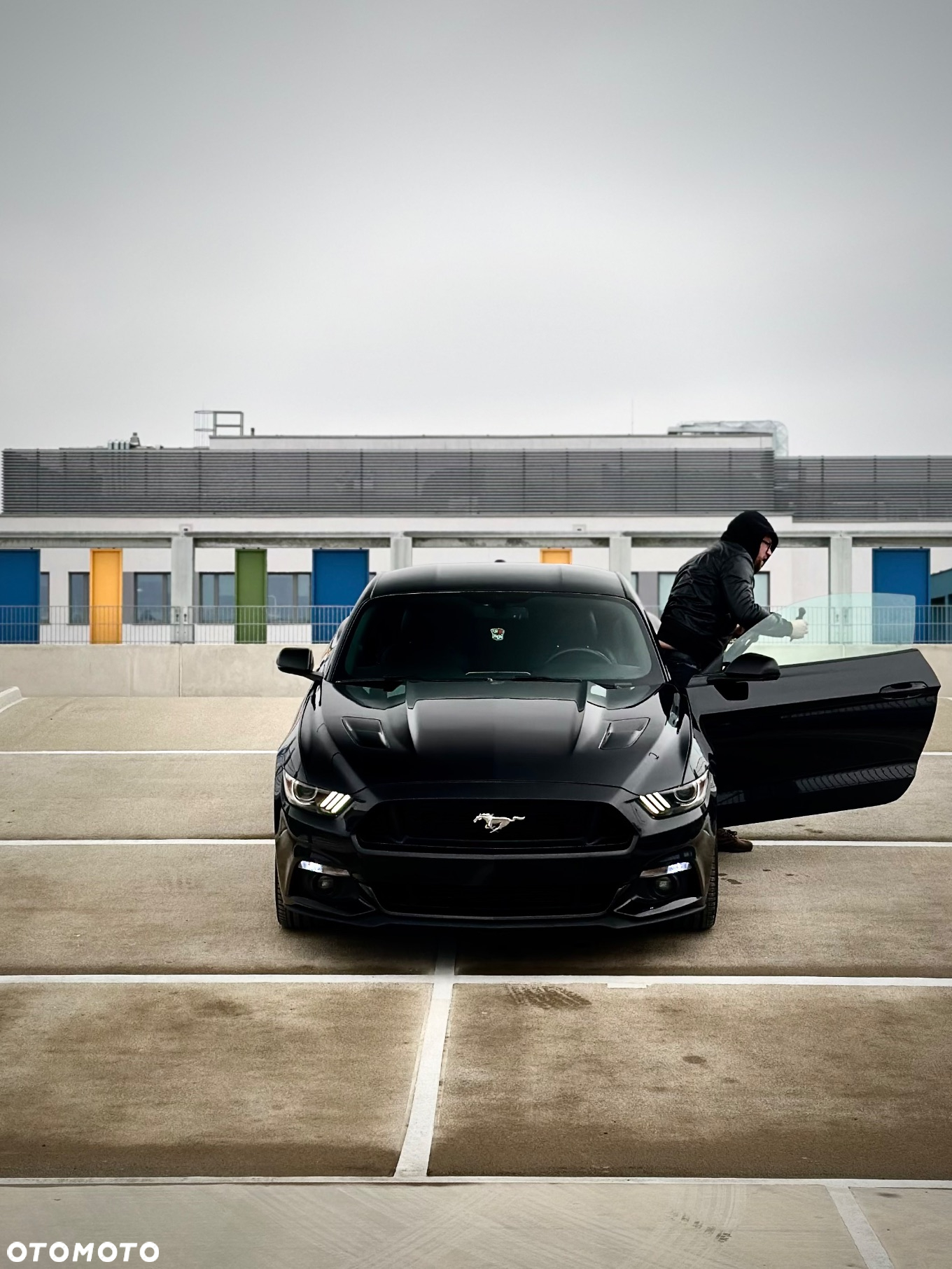 Ford Mustang 5.0 V8 Black Edition - 26