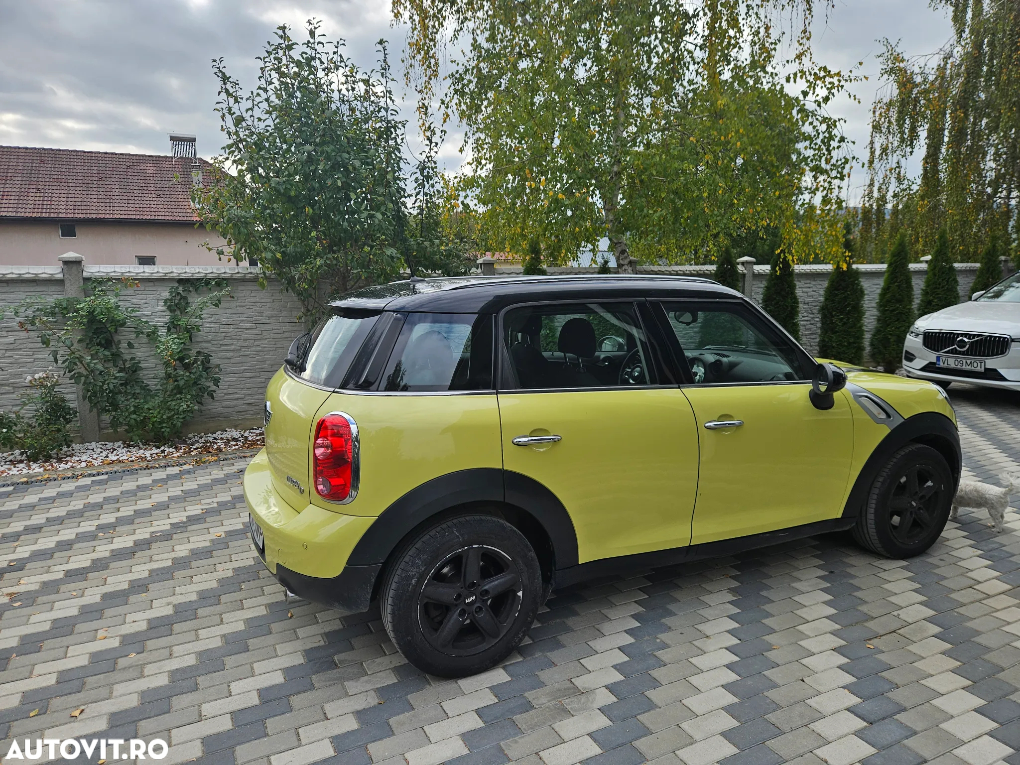 Mini Countryman Cooper D - 6
