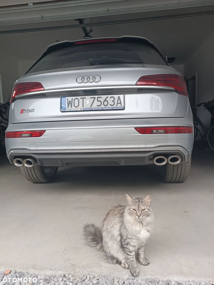 Audi SQ5 - 28
