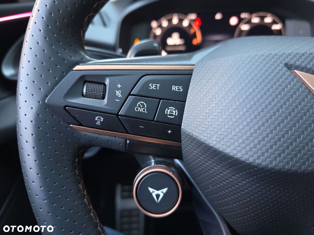 Cupra Terramar 2.0 TSI 4Drive DSG - 21