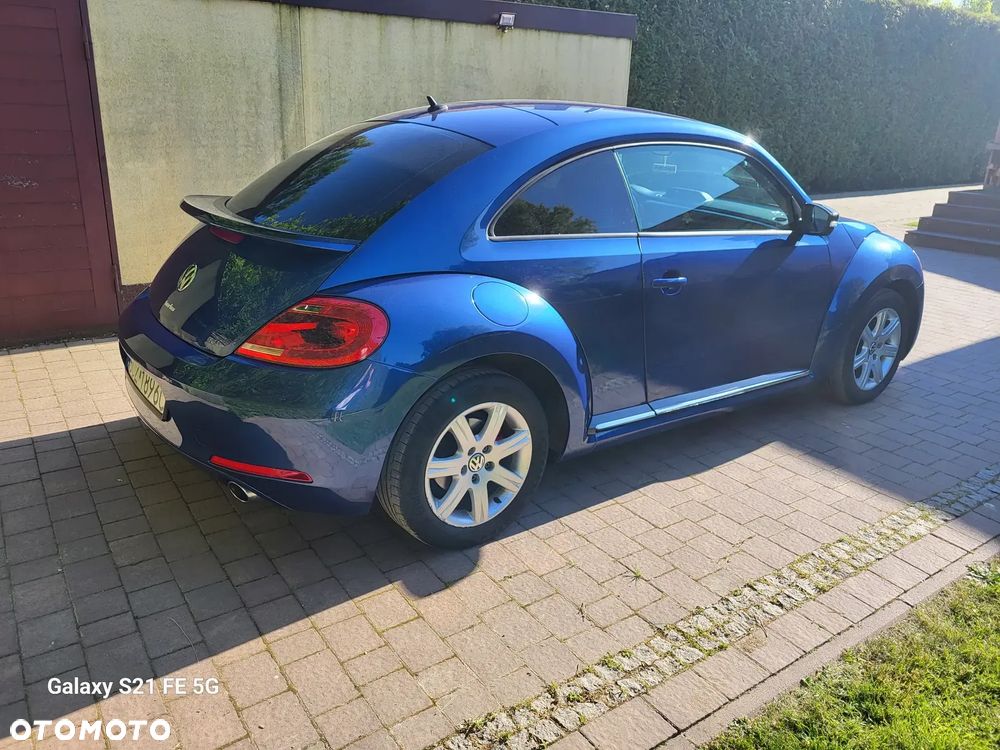 Volkswagen Beetle - 8