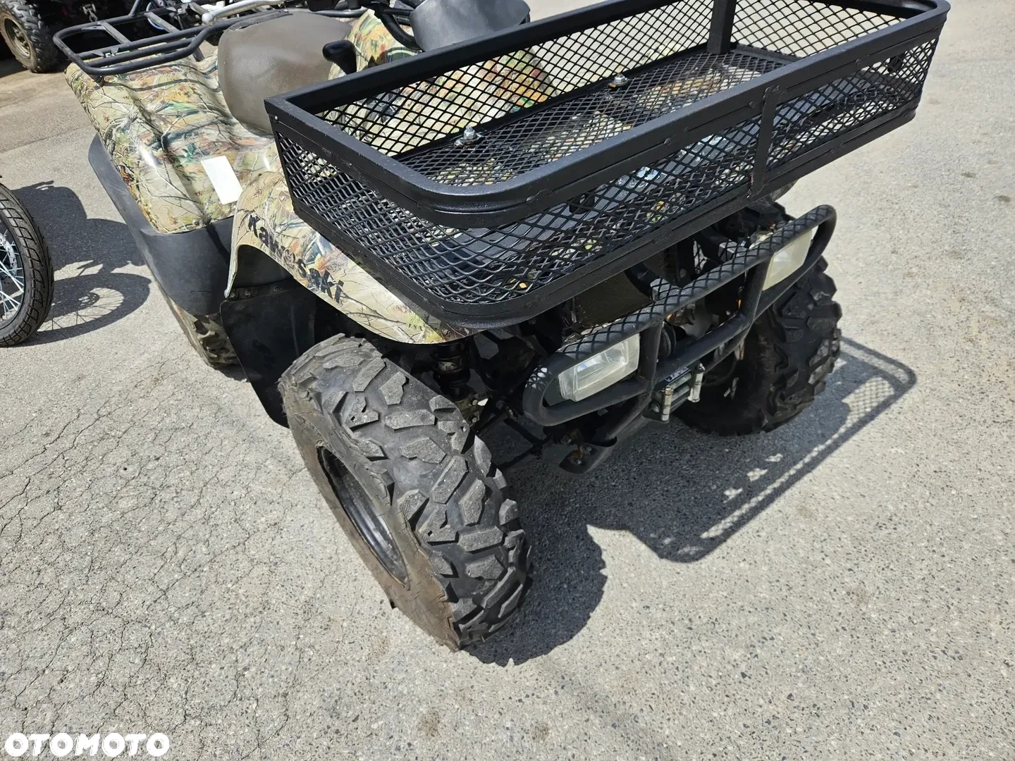 Kawasaki Brute Force - 18