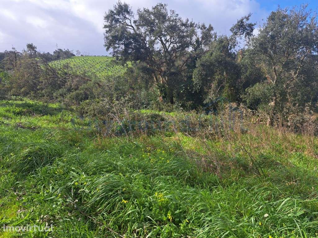 Terreno de 562m2 urbano em Barreira, Leiria - Grande imagem: 3/9