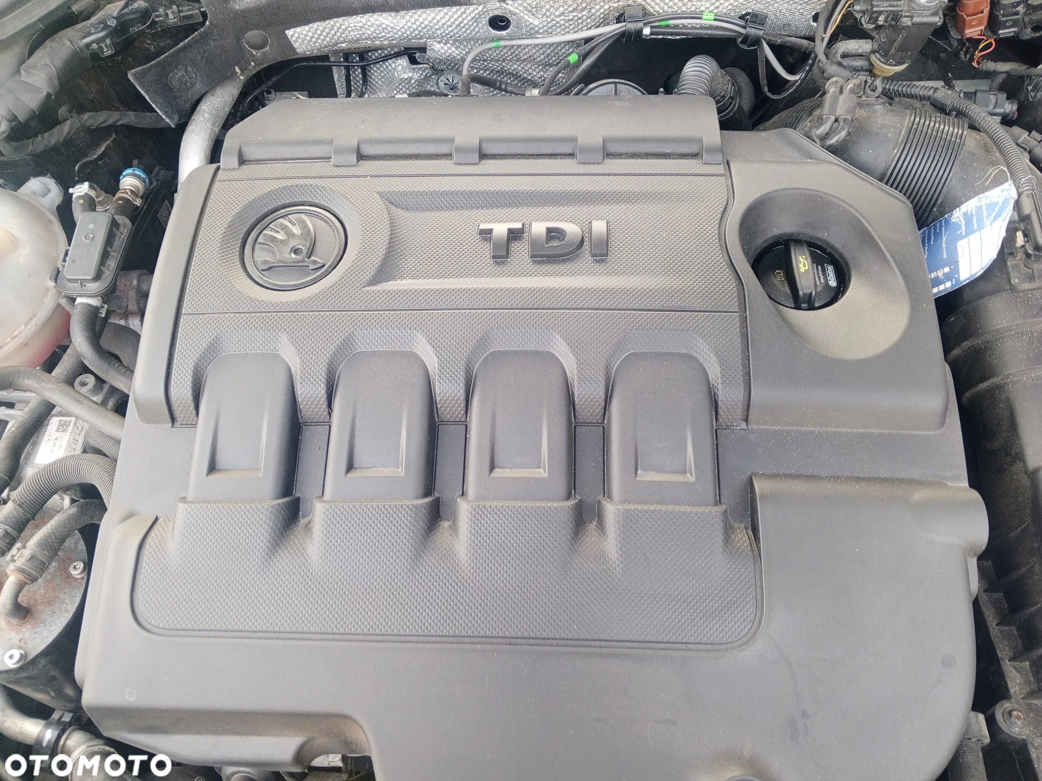 Skoda Octavia - 11